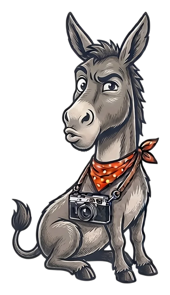 SnapDonkey donkey mascot with a camera, sitting and waiting to answer photo magnet questions
